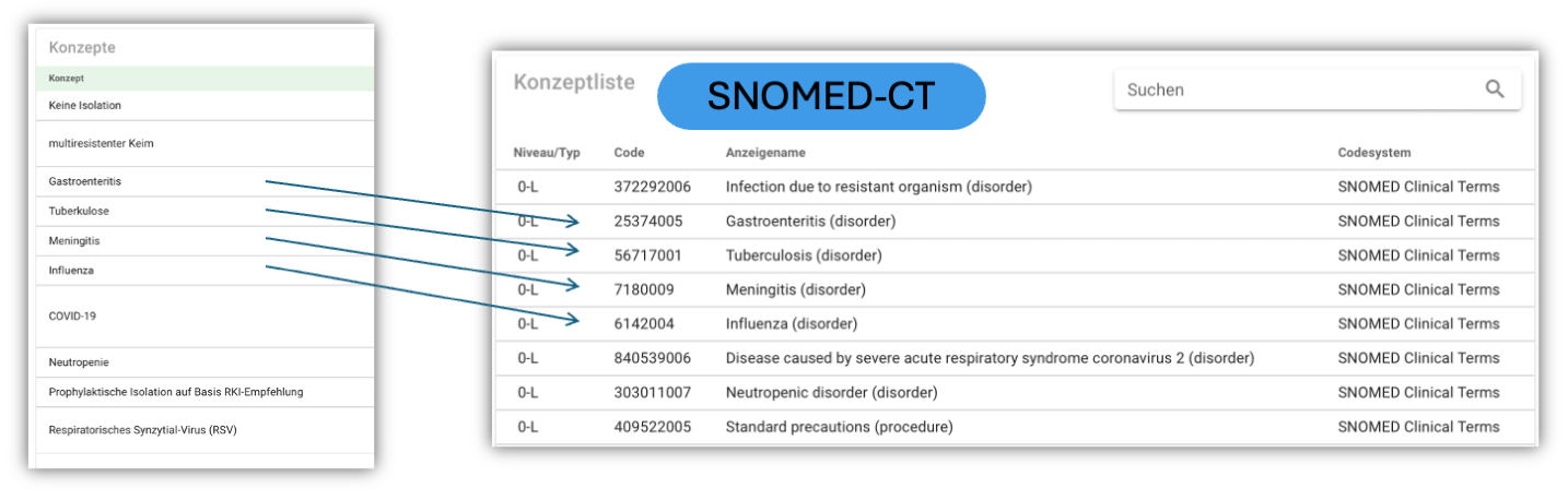 Aktinsnomed.png