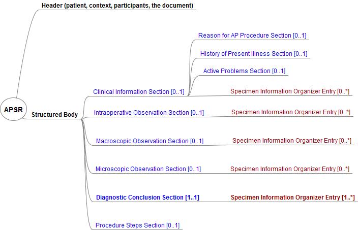 Figure 4.1.2.1-1 Hierarchy of the body for APSR document content module.JPG